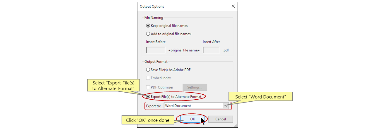 Specify conversion settings